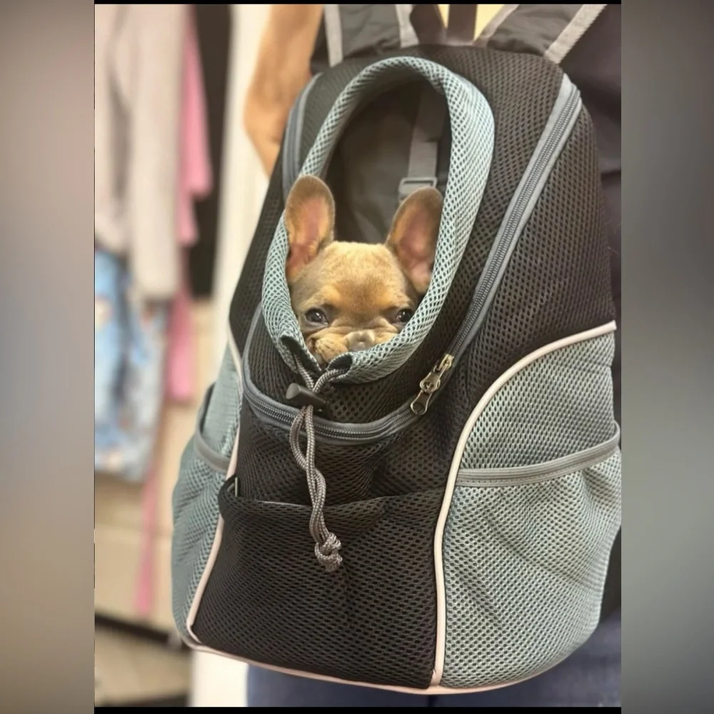 Pet Carrier Backpack with Ventilation Mesh